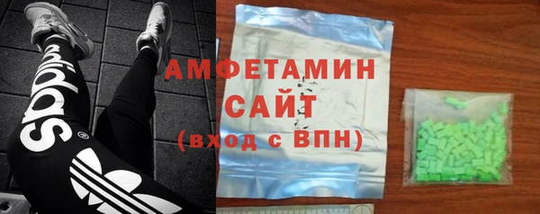 шишки Гусиноозёрск
