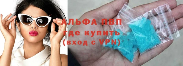 шишки Гусиноозёрск