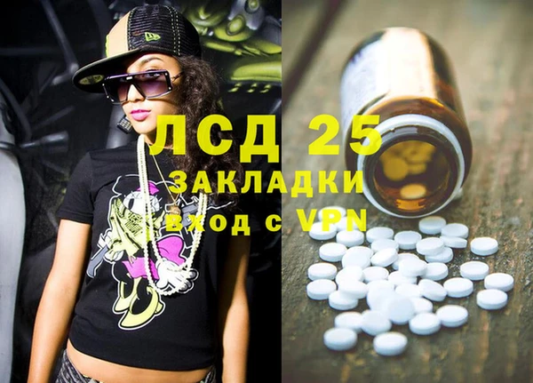 шишки Гусиноозёрск