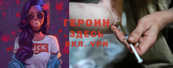 шишки Гусиноозёрск