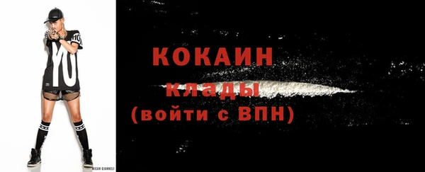 шишки Гусиноозёрск