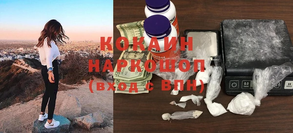 шишки Гусиноозёрск