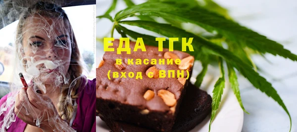 шишки Гусиноозёрск