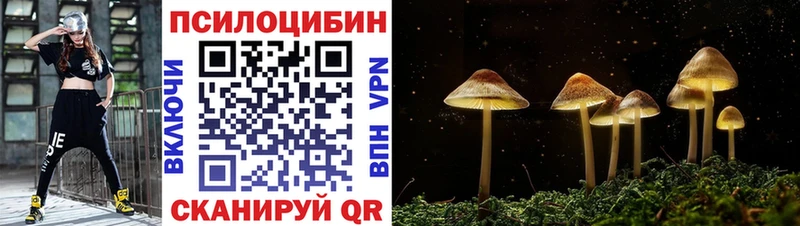 МЕГА tor  Златоуст  Псилоцибиновые грибы GOLDEN TEACHER 